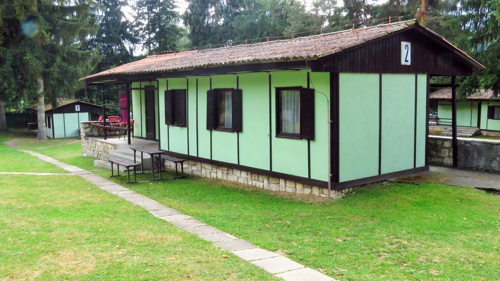 Juniorcamp Nová Živohošť Krecovice Quarto foto